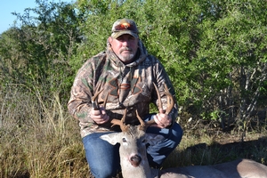 Whitetail